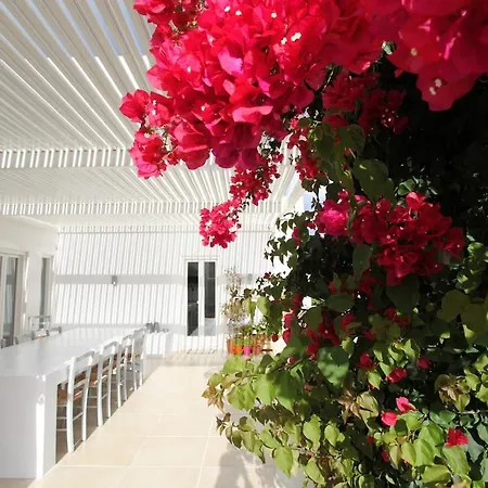 Luxury Alaia With Panoramic Views, Kostos, Paros Kostos